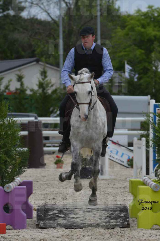 Salon Equitaine de Bordeaux 2015 - Concours d'Equitation de Travail avec chevaux Ibériques - Épreuves de Maniabilités Chronométré - 109
