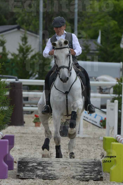 Salon Equitaine de Bordeaux 2015 - Concours d'Equitation de Travail avec chevaux Ibériques - Épreuves de Maniabilités Chronométré - 155