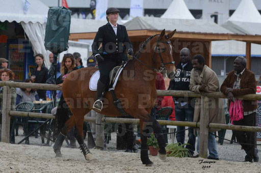 Salon Equitaine de Bordeaux 2015 - Concours d'Equitation de Travail avec chevaux Ibériques - Épreuves de Maniabilités Chronométré - 034