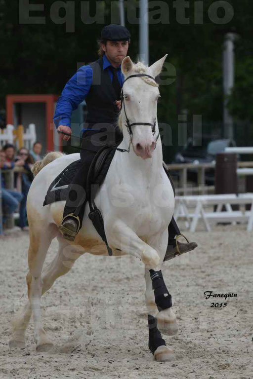 Salon Equitaine de Bordeaux 2015 - Concours d'Equitation de Travail avec chevaux Ibériques - Épreuves de Maniabilités Chronométré - 009