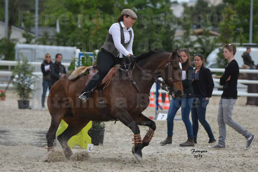 Salon Equitaine de Bordeaux 2015 - Concours d'Equitation de Travail avec chevaux Ibériques - Épreuves de Maniabilités Chronométré - 020