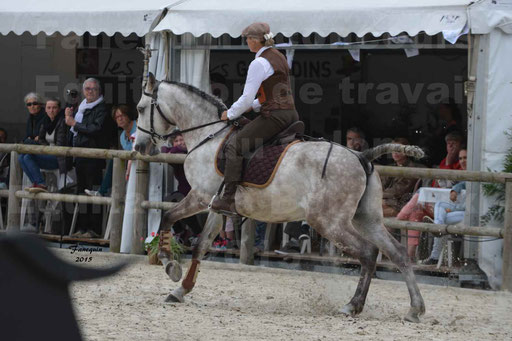 Salon Equitaine de Bordeaux 2015 - Concours d'Equitation de Travail avec chevaux Ibériques - Épreuves de Maniabilités Chronométré - 052