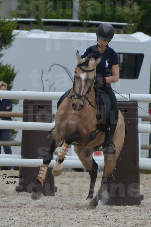 Salon Equitaine de Bordeaux 2015 - Concours d'Equitation de Travail avec chevaux Ibériques - Épreuves de Maniabilités Chronométré - 101