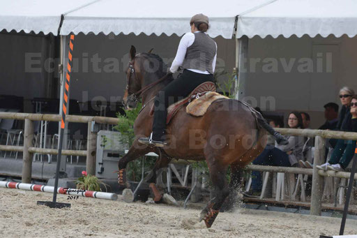Salon Equitaine de Bordeaux 2015 - Concours d'Equitation de Travail avec chevaux Ibériques - Épreuves de Maniabilités Chronométré - 015