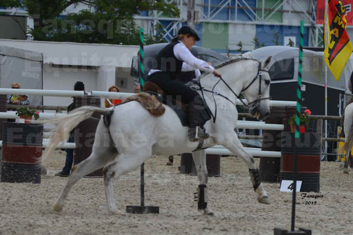 Salon Equitaine de Bordeaux 2015 - Concours d'Equitation de Travail avec chevaux Ibériques - Épreuves de Maniabilités Chronométré - 151
