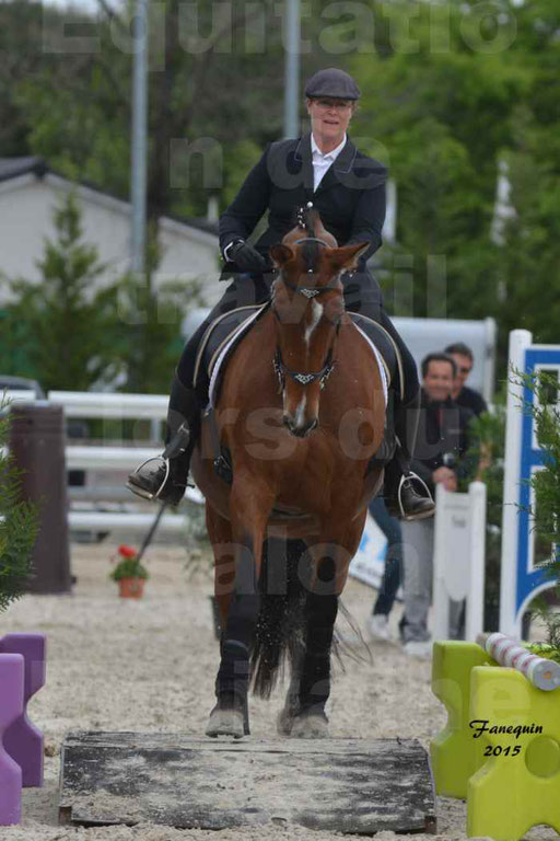 Salon Equitaine de Bordeaux 2015 - Concours d'Equitation de Travail avec chevaux Ibériques - Épreuves de Maniabilités Chronométré - 031