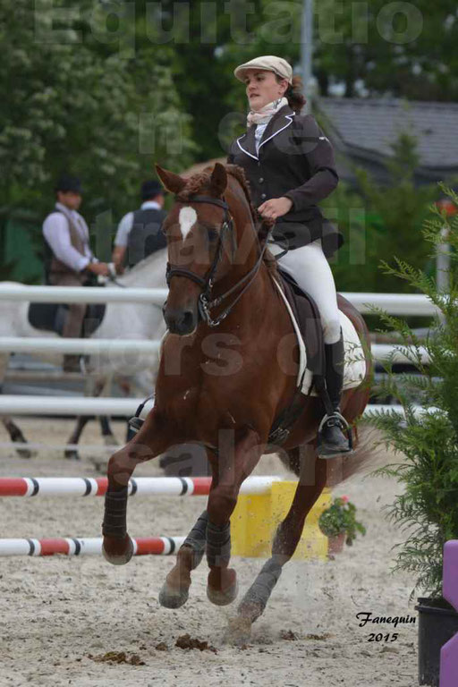 Salon Equitaine de Bordeaux 2015 - Concours d'Equitation de Travail avec chevaux Ibériques - Épreuves de Maniabilités Chronométré - 002