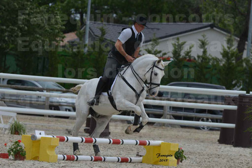 Salon Equitaine de Bordeaux 2015 - Concours d'Equitation de Travail avec chevaux Ibériques - Épreuves de Maniabilités Chronométré - 158