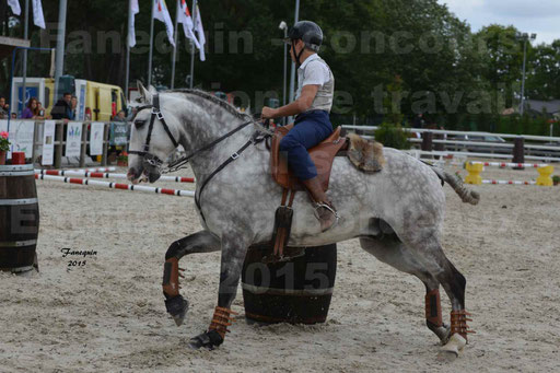 Salon Equitaine de Bordeaux 2015 - Concours d'Equitation de Travail avec chevaux Ibériques - Épreuves de Maniabilités Chronométré - 122