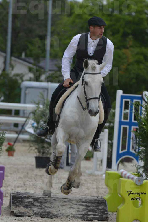 Salon Equitaine de Bordeaux 2015 - Concours d'Equitation de Travail avec chevaux Ibériques - Épreuves de Maniabilités Chronométré - 038