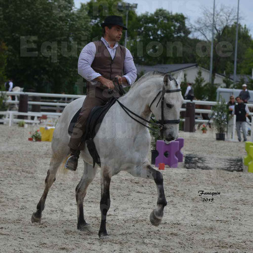Salon Equitaine de Bordeaux 2015 - Concours d'Equitation de Travail avec chevaux Ibériques - Épreuves de Maniabilités Chronométré - 085