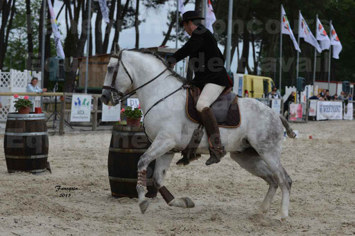 Salon Equitaine de Bordeaux 2015 - Concours d'Equitation de Travail avec chevaux Ibériques - Épreuves de Maniabilités Chronométré - 098