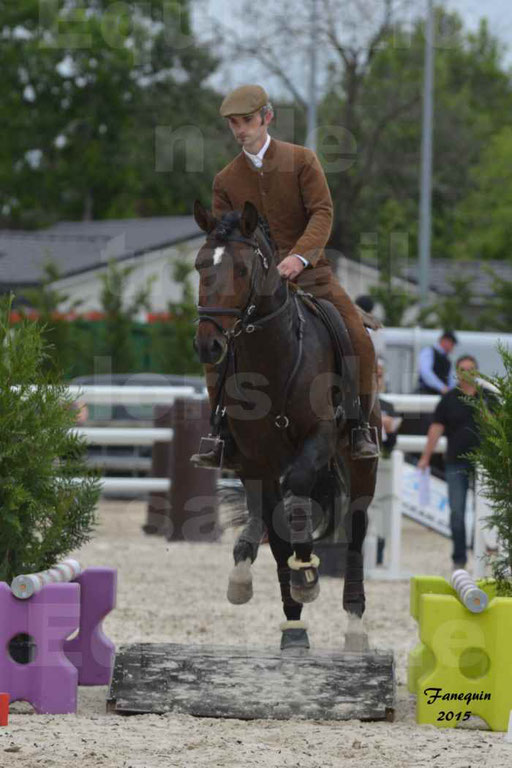 Salon Equitaine de Bordeaux 2015 - Concours d'Equitation de Travail avec chevaux Ibériques - Épreuves de Maniabilités Chronométré - 064