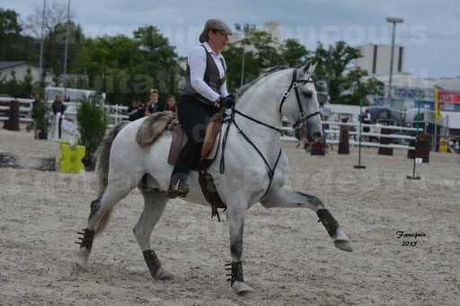 Salon Equitaine de Bordeaux 2015 - Concours d'Equitation de Travail avec chevaux Ibériques - Épreuves de Maniabilités Chronométré - 139
