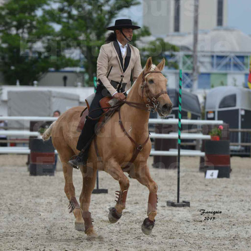 Salon Equitaine de Bordeaux 2015 - Concours d'Equitation de Travail avec chevaux Ibériques - Épreuves de Maniabilités Chronométré - 123