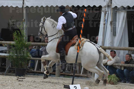 Salon Equitaine de Bordeaux 2015 - Concours d'Equitation de Travail avec chevaux Ibériques - Épreuves de Maniabilités Chronométré - 065