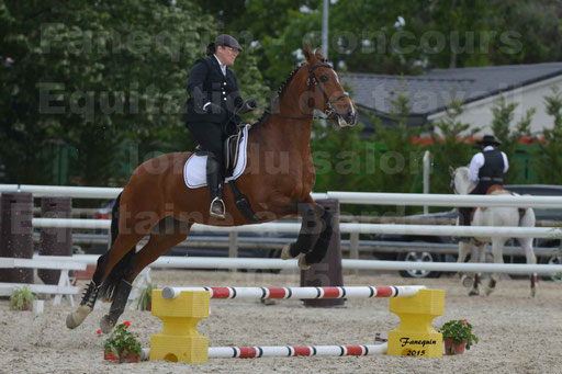 Salon Equitaine de Bordeaux 2015 - Concours d'Equitation de Travail avec chevaux Ibériques - Épreuves de Maniabilités Chronométré - 028