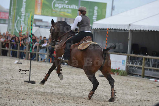 Salon Equitaine de Bordeaux 2015 - Concours d'Equitation de Travail avec chevaux Ibériques - Épreuves de Maniabilités Chronométré - 018