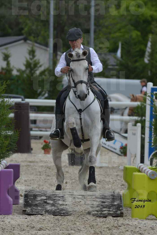 Salon Equitaine de Bordeaux 2015 - Concours d'Equitation de Travail avec chevaux Ibériques - Épreuves de Maniabilités Chronométré - 156