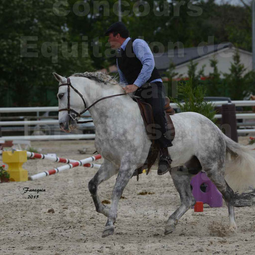 Salon Equitaine de Bordeaux 2015 - Concours d'Equitation de Travail avec chevaux Ibériques - Épreuves de Maniabilités Chronométré - 111