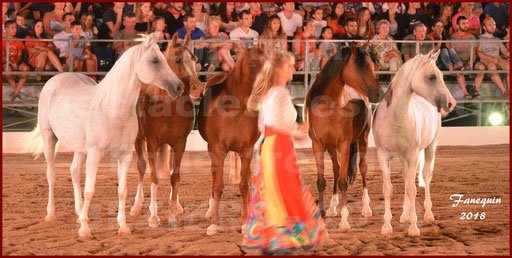 "Nuits Équestres" de la Féria de BEZIERS en 2018 - "Sylvie WILLMS"