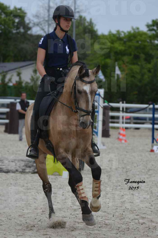 Salon Equitaine de Bordeaux 2015 - Concours d'Equitation de Travail avec chevaux Ibériques - Épreuves de Maniabilités Chronométré - 099