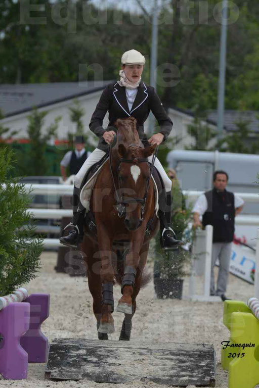 Salon Equitaine de Bordeaux 2015 - Concours d'Equitation de Travail avec chevaux Ibériques - Épreuves de Maniabilités Chronométré - 003