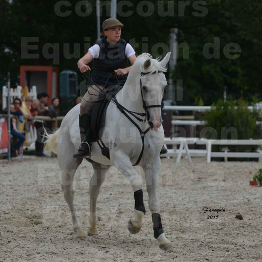 Salon Equitaine de Bordeaux 2015 - Concours d'Equitation de Travail avec chevaux Ibériques - Épreuves de Maniabilités Chronométré - 024