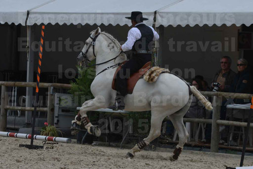 Salon Equitaine de Bordeaux 2015 - Concours d'Equitation de Travail avec chevaux Ibériques - Épreuves de Maniabilités Chronométré - 066