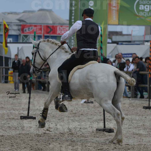Salon Equitaine de Bordeaux 2015 - Concours d'Equitation de Travail avec chevaux Ibériques - Épreuves de Maniabilités Chronométré - 037