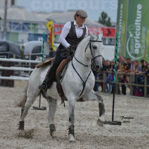 Salon Equitaine de Bordeaux 2015 - Concours d'Equitation de Travail avec chevaux Ibériques - Épreuves de Maniabilités Chronométré - 137