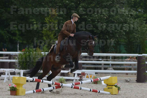 Salon Equitaine de Bordeaux 2015 - Concours d'Equitation de Travail avec chevaux Ibériques - Épreuves de Maniabilités Chronométré - 057
