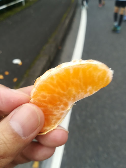 柑橘（たんかん？）