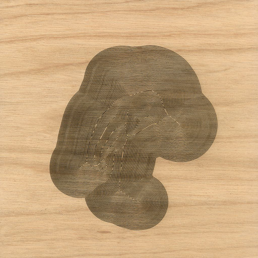 W3L1Y17S900 (2), marine plywood, 2017, 30x30cm