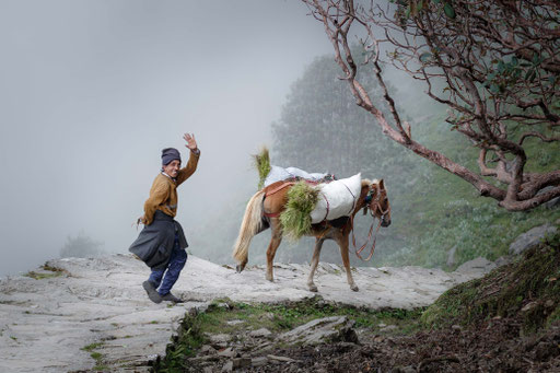 Maulpferdtreiber in Chopta, angenommen und publiziert in 04/2018 www.fotoforum.de