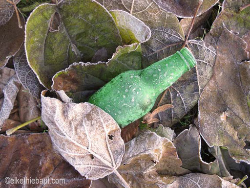 Magnifique bouteille verte trouvée dans le petit parc que je traverse tous les jours. C'était en octobre 2010, le premier jour de froid. 
