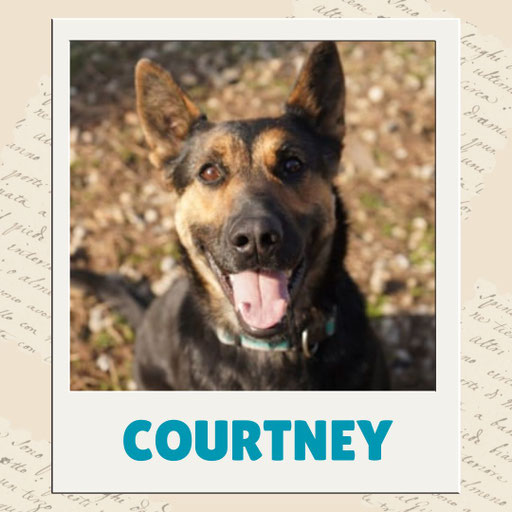Courtney
