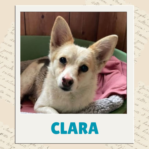 Clara