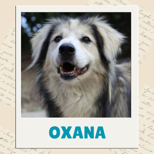 Oxana