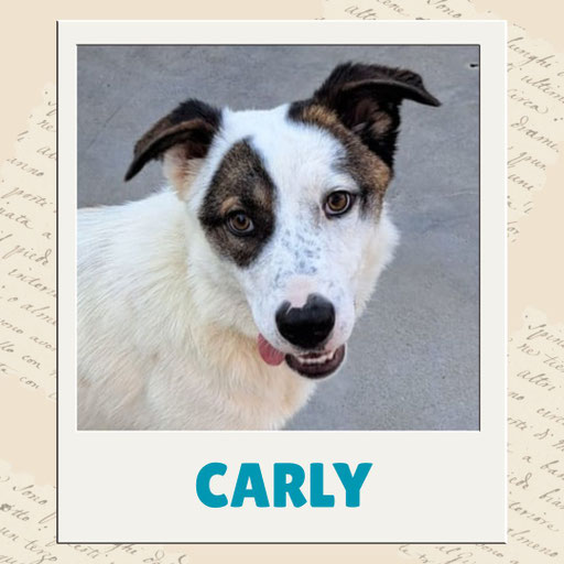 Carly