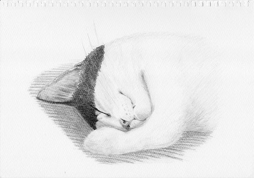 寝る三毛猫（2016）ART-Meterでお買い上げいただきました。ありがとうございました。