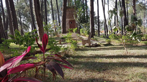 Ngaoundéré, le Bois de Mardock