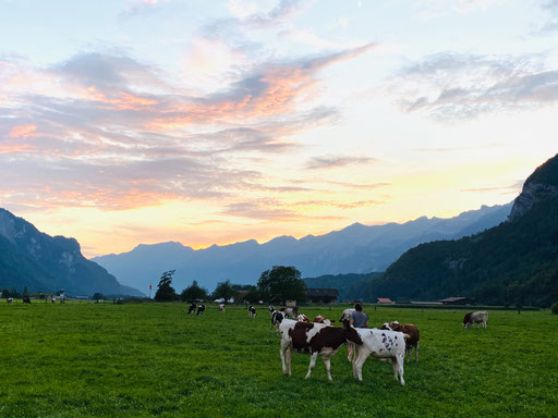 Abendstimmung