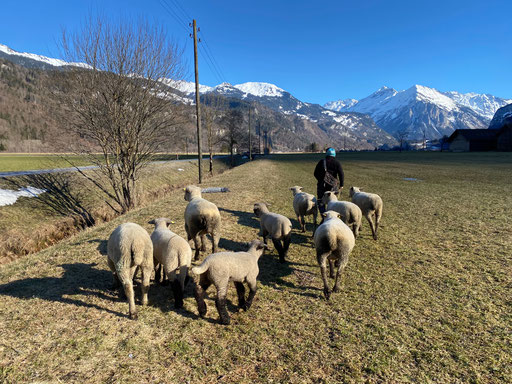 Spaziergang im Frühling