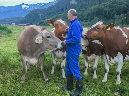 Uns ist die Nähe zu den Tieren wichtig