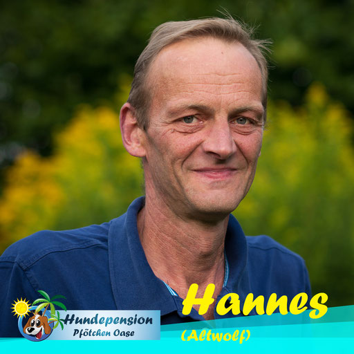 Hannes (Altwolf)