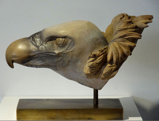 VAUTOUR FAUVE  -   23 x 10 cm  Disponible