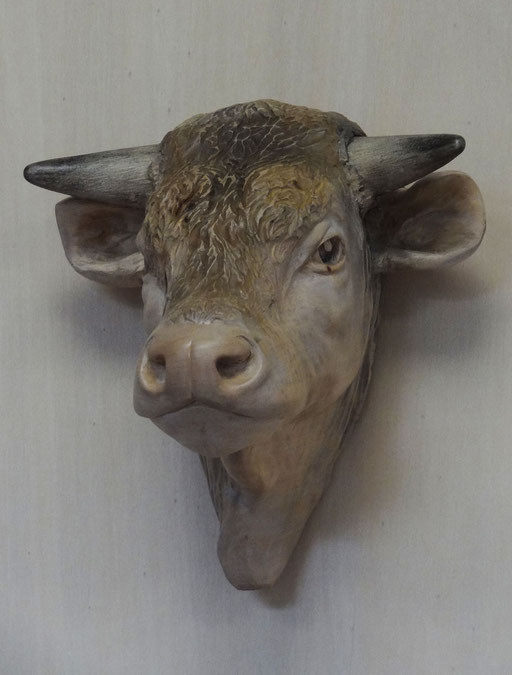 TAURILLON -    30 x 30 cm  Vendue