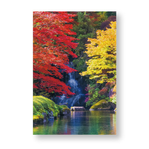 PN-012　＊14.8ｘ10.0＊