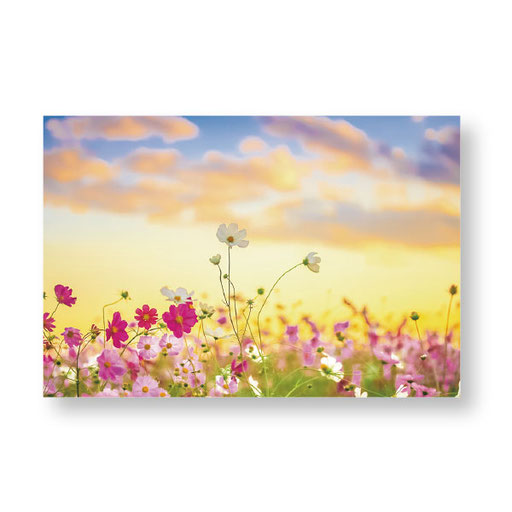 PF-022　＊10.0ｘ14.8＊